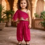 Colour: Fuchsia Pink (Deep Pink) with Gold Zari Embellishmen