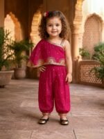 Colour: Fuchsia Pink (Deep Pink) with Gold Zari Embellishmen
