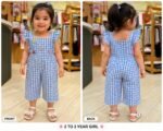 Sky Blue Gingham Flutter Jumpsuit