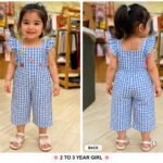 Sky Blue Gingham Flutter Jumpsuit